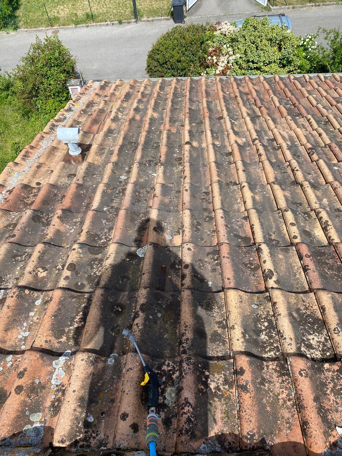 Toiture en tuiles envahie par la mousse