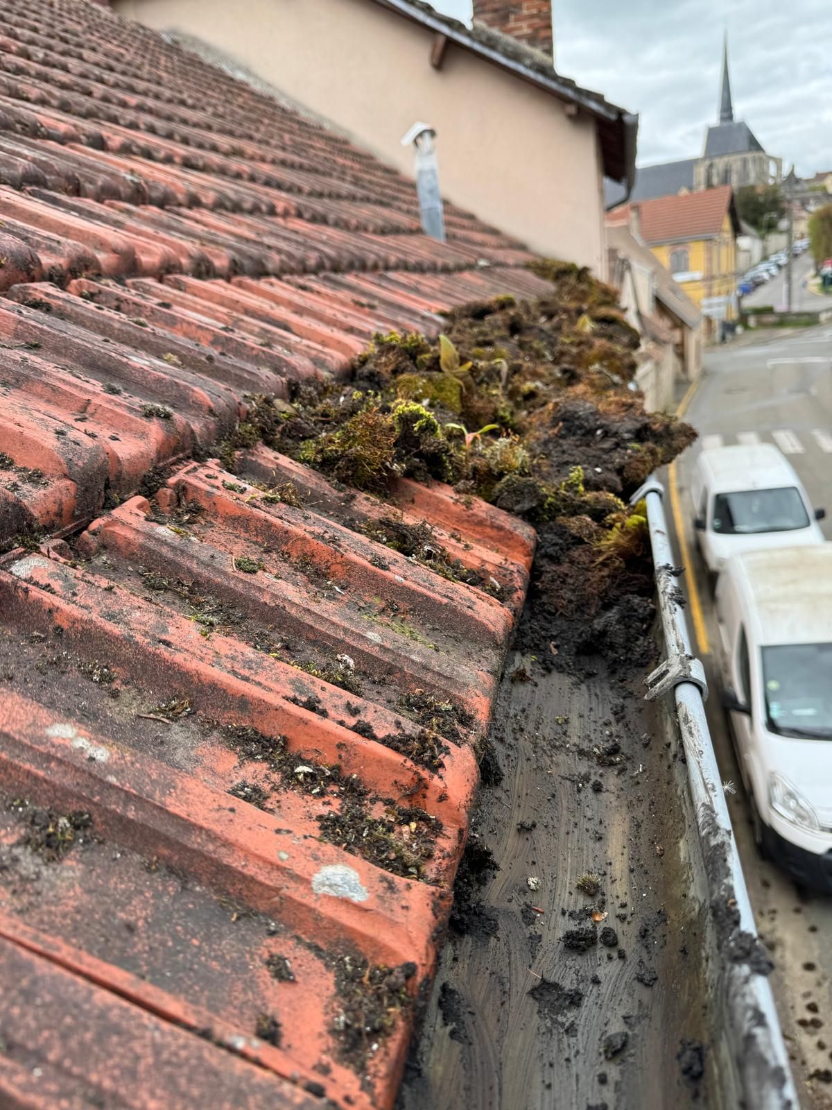 Mousse accumulée au bord d’une toiture en tuiles